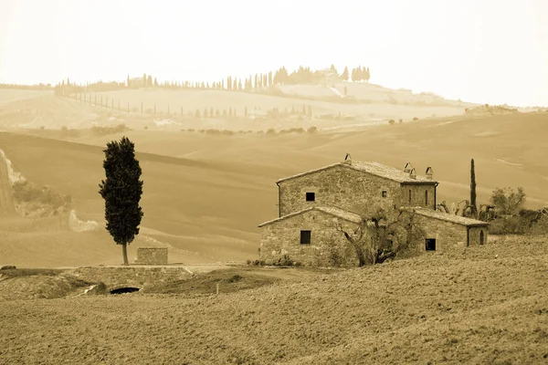 Fondo Típico Paisaje Toscano —  Fotos de Stock