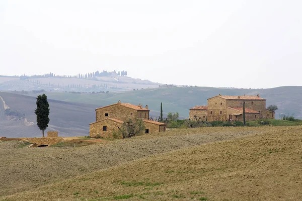 Fondo Típico Paisaje Toscano —  Fotos de Stock