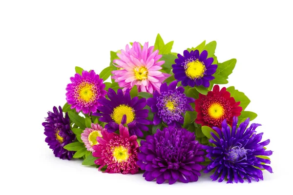 Bouquet Von Bunten Astern Blumen Auf Weißem Hintergrund — Stockfoto