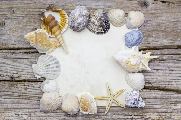 Papel Branco Sobre Fundo Madeira Com Conchas — Fotografia de Stock