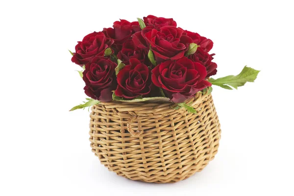 Růže Červené Pozadí Izolovat — Stock fotografie
