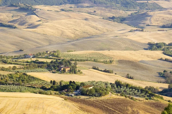 View Typical Tuscany Landscape Summer Italy — Stock Photo, Image