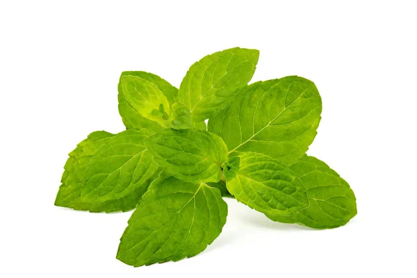 Mint Leaves Isolated White — Stock Photo, Image