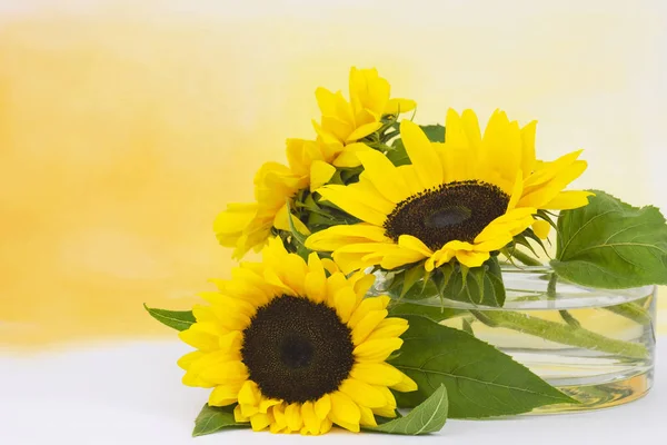 Sonnenblumen Glasvase Helianthus — Stockfoto