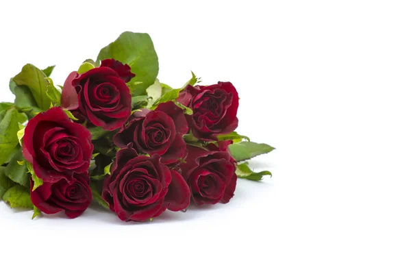 Red Roses White Background — Stock Photo, Image