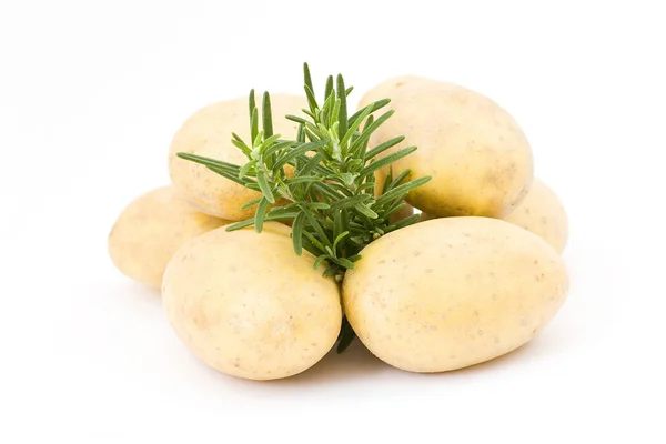 Potatoes Fresh Rosemary — Stock Photo, Image