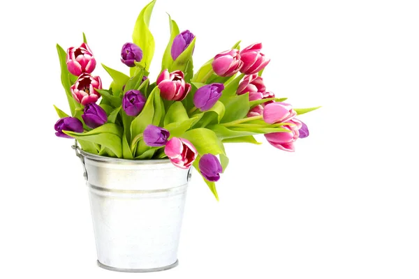 Різнокольорові Тюльпани Відрі — стокове фото