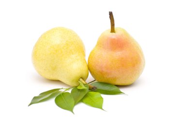 beyaz üzerine iki armut