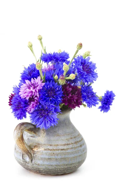 Kornblumen — Stockfoto