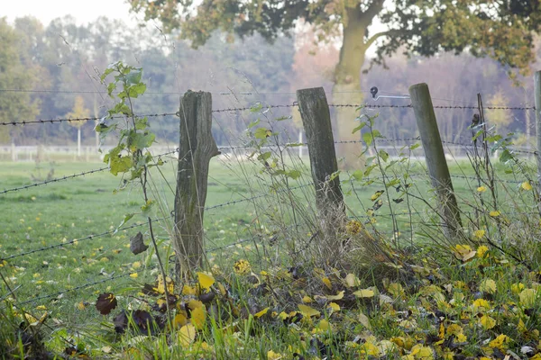 Bir alanı dikenli tel ayakta ile ahşap bir çit — Stok fotoğraf