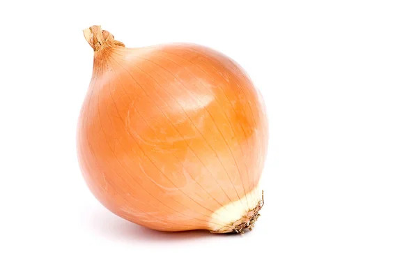 Onion — Stock Photo, Image