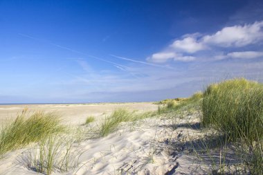Kum tepeleri, Renesse, Zeeland, Hollanda