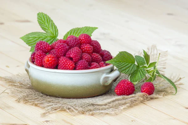 Framboises fraîches dans un bol — Photo