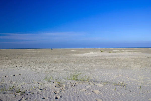 Beach in Renesse, Netherlands Royalty Free Stock Photos