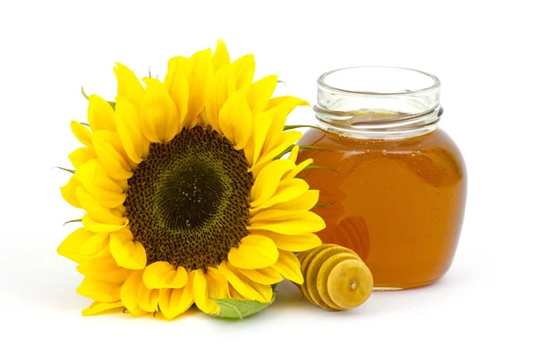 Miel y girasoles sobre fondo blanco —  Fotos de Stock