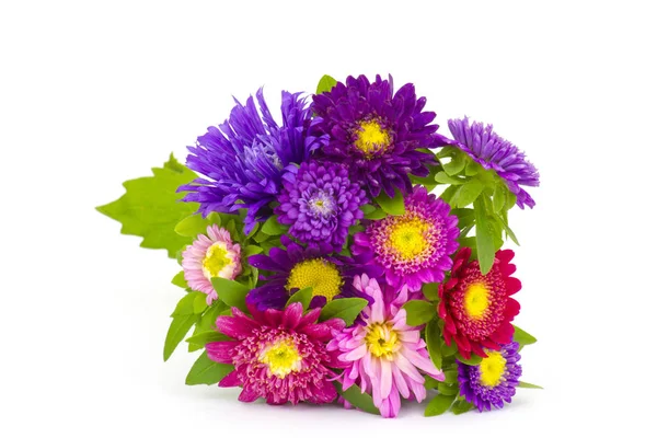 Bouquet von bunten Astern Blumen auf weißem Hintergrund — Stockfoto