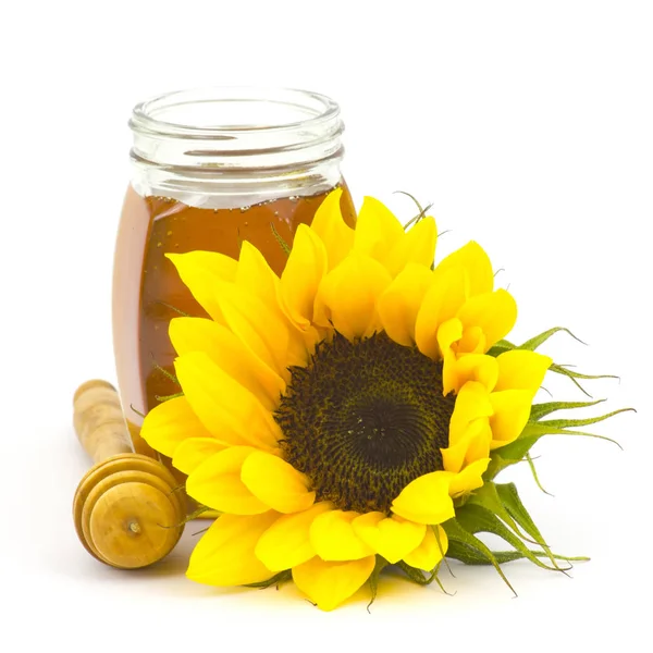 Honey and sunflowers on white background — Stock Photo, Image