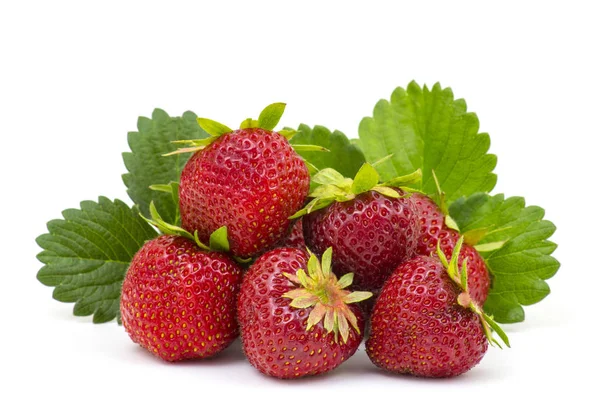 Frische Erdbeeren — Stockfoto