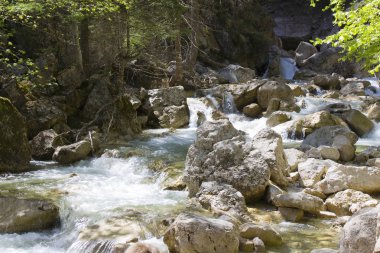Bavyera Kalesi Neuschwanstein yakın pllatschlucht 