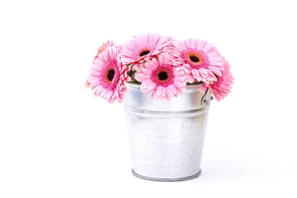 Pink Gerbera Flowers Bucket — Stock Photo, Image