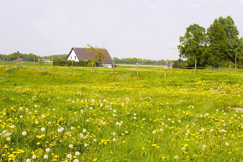 Spring meadows around a rural house, Germany