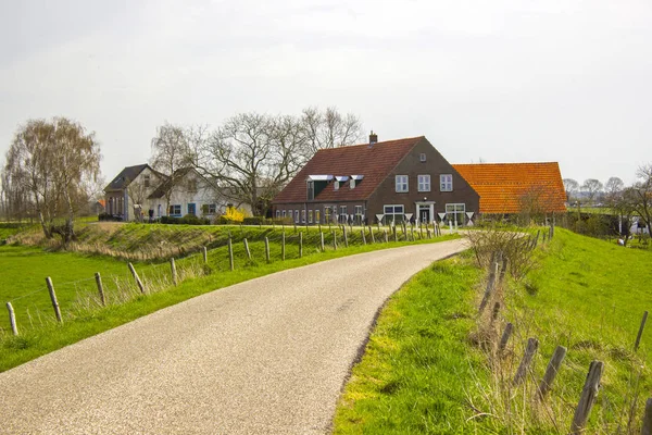 Paysage Comté Aux Pays Bas Près Ooij Gueldre — Photo