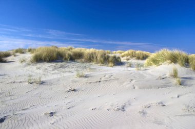 Kum tepeleri, Renesse, Zeeland, Hollanda