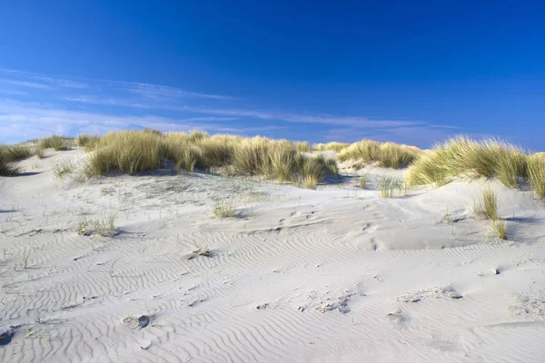 Kum tepeleri, Renesse, Zeeland, Hollanda — Stok fotoğraf