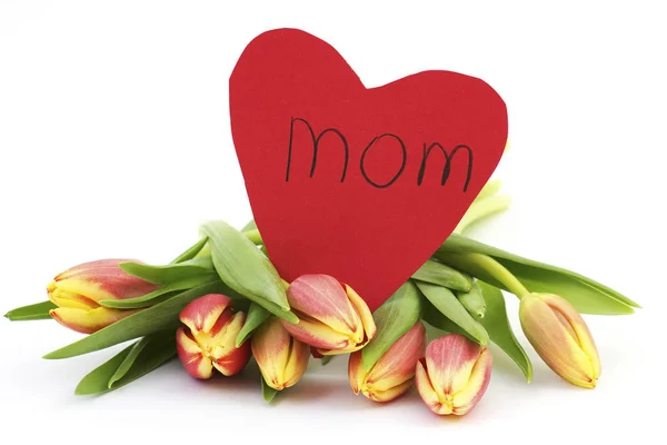 Tulipes Fraîches Coeur Pour Maman — Photo