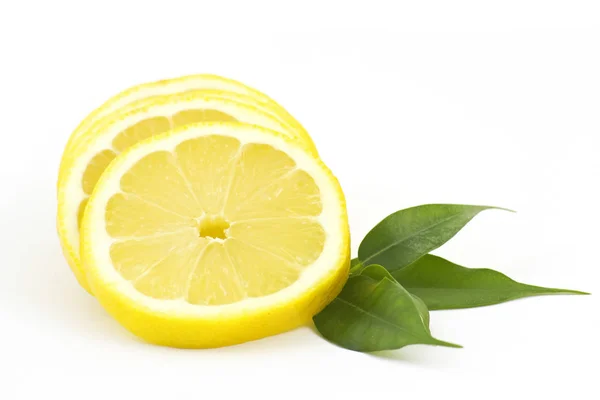흰색에 레몬의 — 스톡 사진