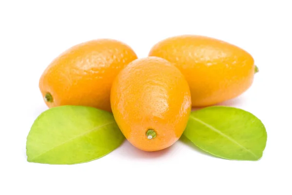 Beyaz Kumquats Görünümü — Stok fotoğraf