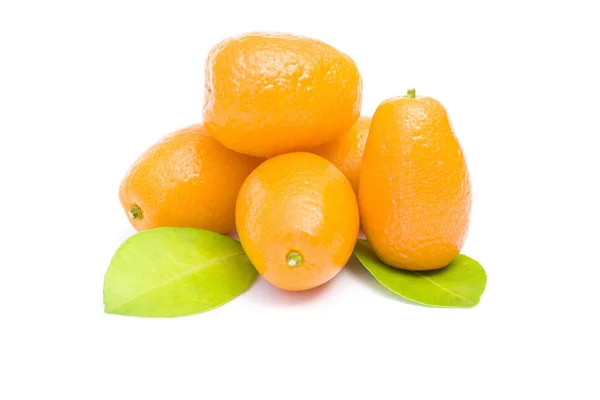 Uitzicht Kumquats Wit — Stockfoto