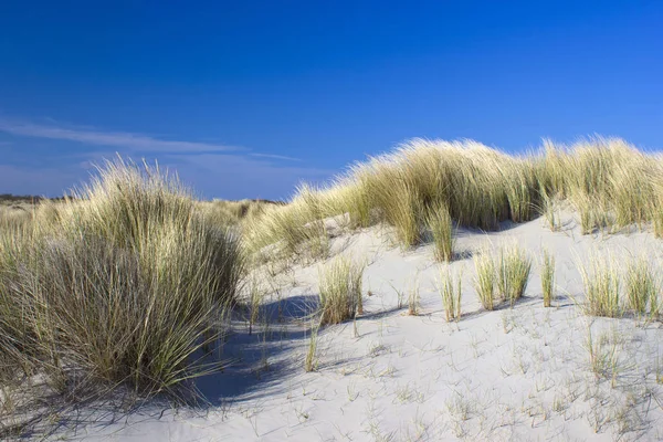 Kum tepeleri, Renesse, Zeeland, Hollanda — Stok fotoğraf