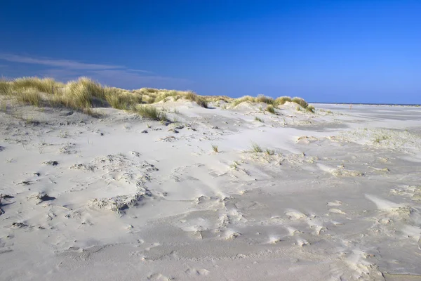 The dunes, Renesse, Zeeland, the Netherlands — Stock Photo, Image