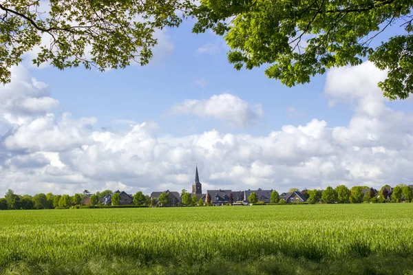Alman kırsal alanı, Aşağı Ren Bölgesi