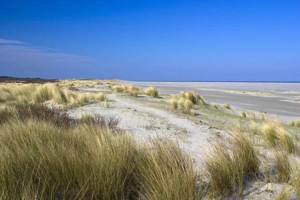 Kum Tepeleri Renesse Zeeland Hollanda — Stok fotoğraf