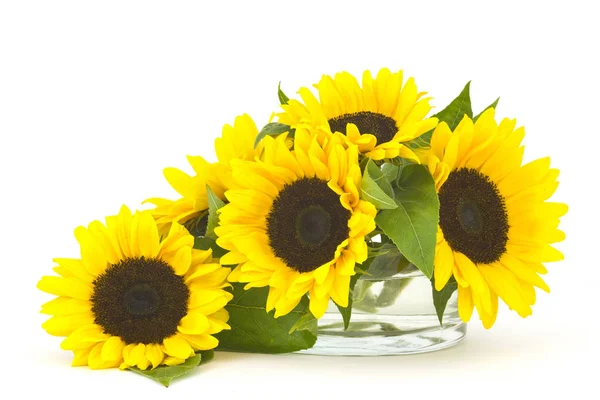 Prachtige Zonnebloem Boeket Glazen Vaas Helianthus — Stockfoto