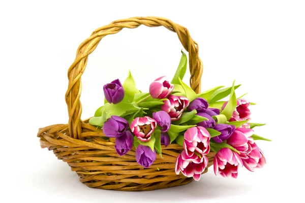 Colourful Tulips Basket — Stock Photo, Image