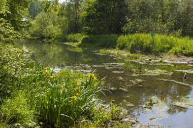 Niers Nehri, Geldern, Almanya