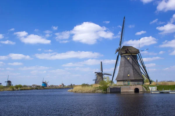 ünlü turistik site Kinderdijk de yel değirmenleri ile kırsal manzara