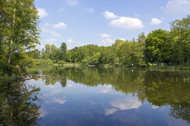 Alman kırsal alanı, Aşağı Ren Bölgesi