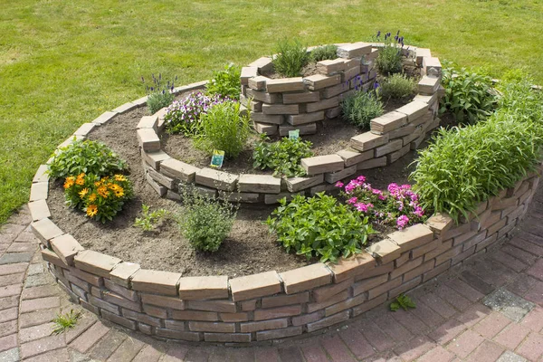 Vista Del Parterre Espiral Con Hierbas Flores Luz Del Sol — Foto de Stock