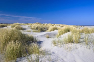 pitoresk tepeler, Renesse, Zeeland, Hollanda