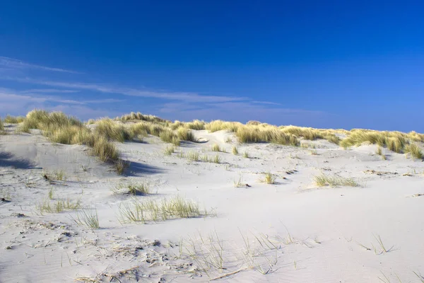 絵のように美しい砂丘 レネッセ ジーランド オランダ — ストック写真