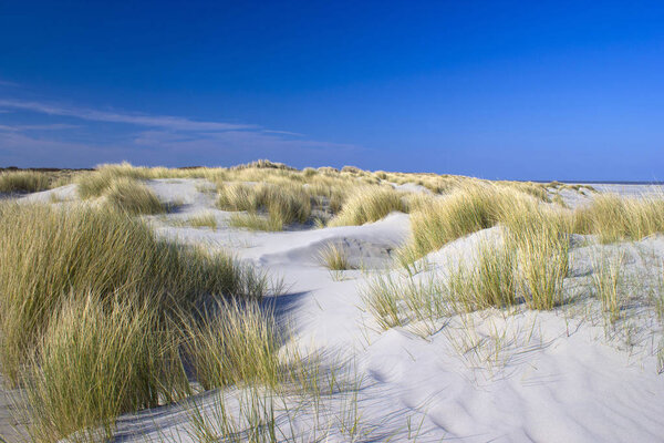 picturesque dunes, Renesse, Zeeland, the Netherlands