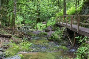 Lotenbach Gorge Blach Forest, Almanya için