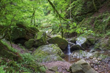 Lotenbach Gorge Blach Forest, Almanya için