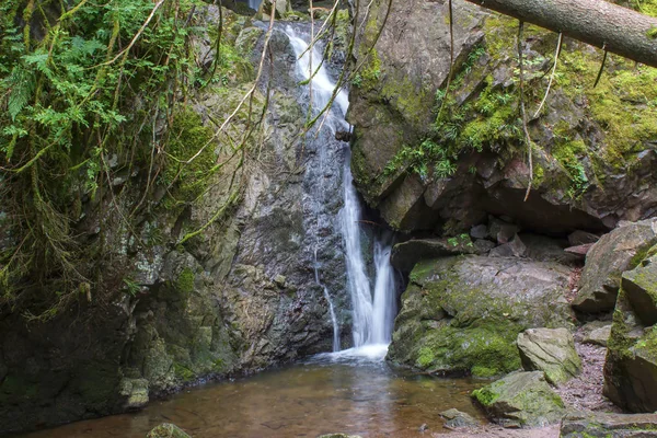 Lotenbach Gorge, a Fekete-erdő, Németország — Stock Fotó