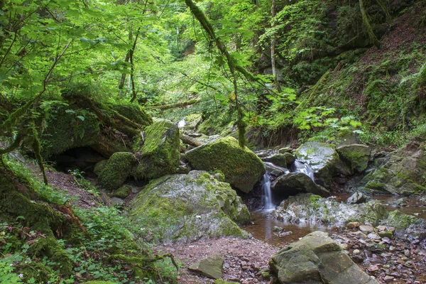 Lotenbašká soutěska Blach Forest, Německo — Stock fotografie