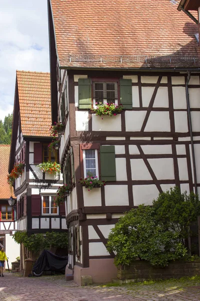 Espumas Plásticas em Black Forest, Alemania — Fotografia de Stock